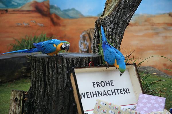 2015-12-21 08-48-55.JPG